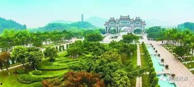 顺德航拍视频,空中俯瞰下的水乡画卷