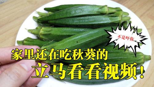 秋葵 视频,营养丰富的绿色珍品，健康生活必备食材