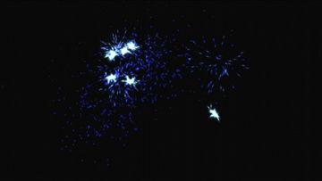 烟花视频大全视频播放,烟花视频大全精彩瞬间回顾