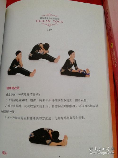 蕙兰瑜伽视频教程,轻松入门，享受身心和谐之旅